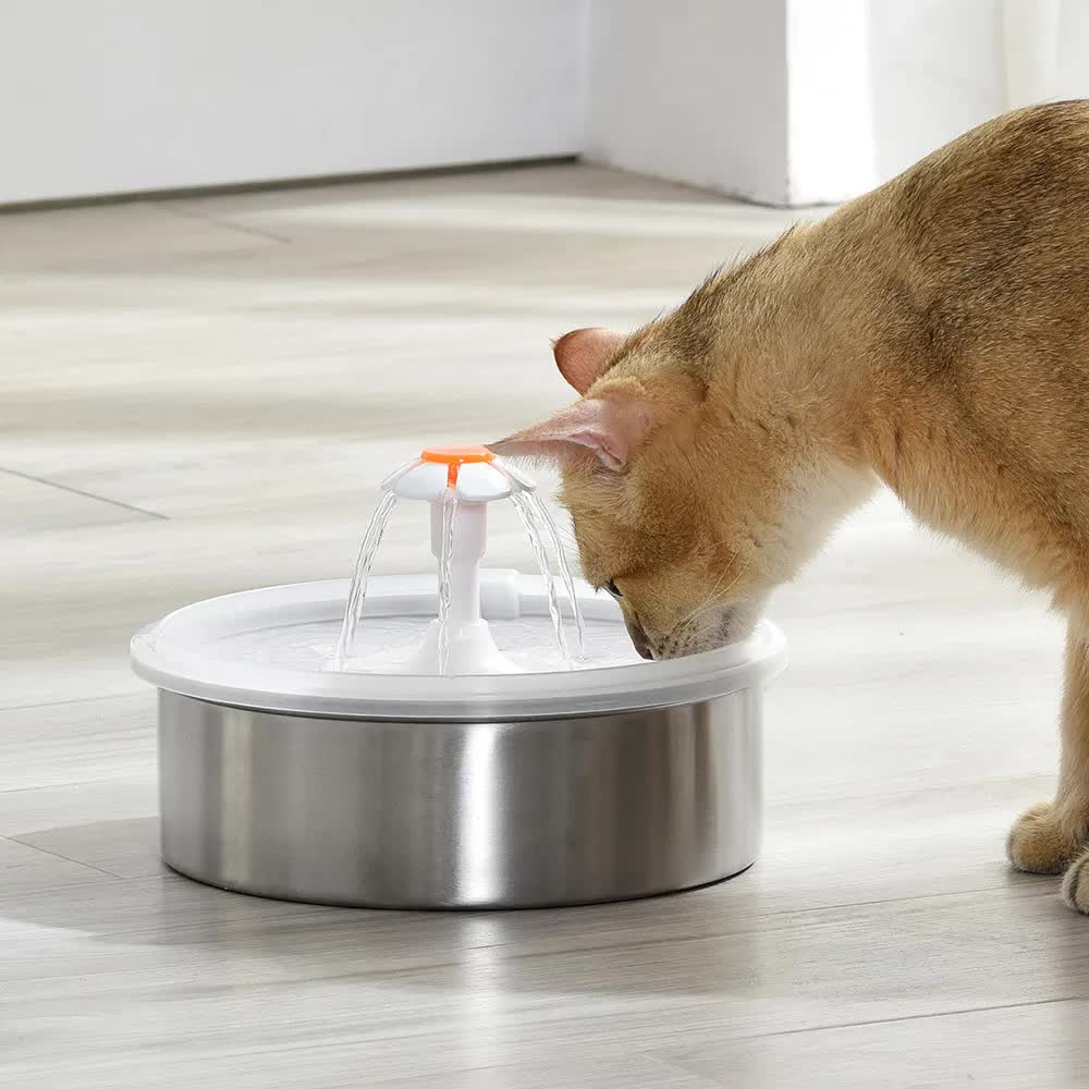 Nestora Pet Water Fountain