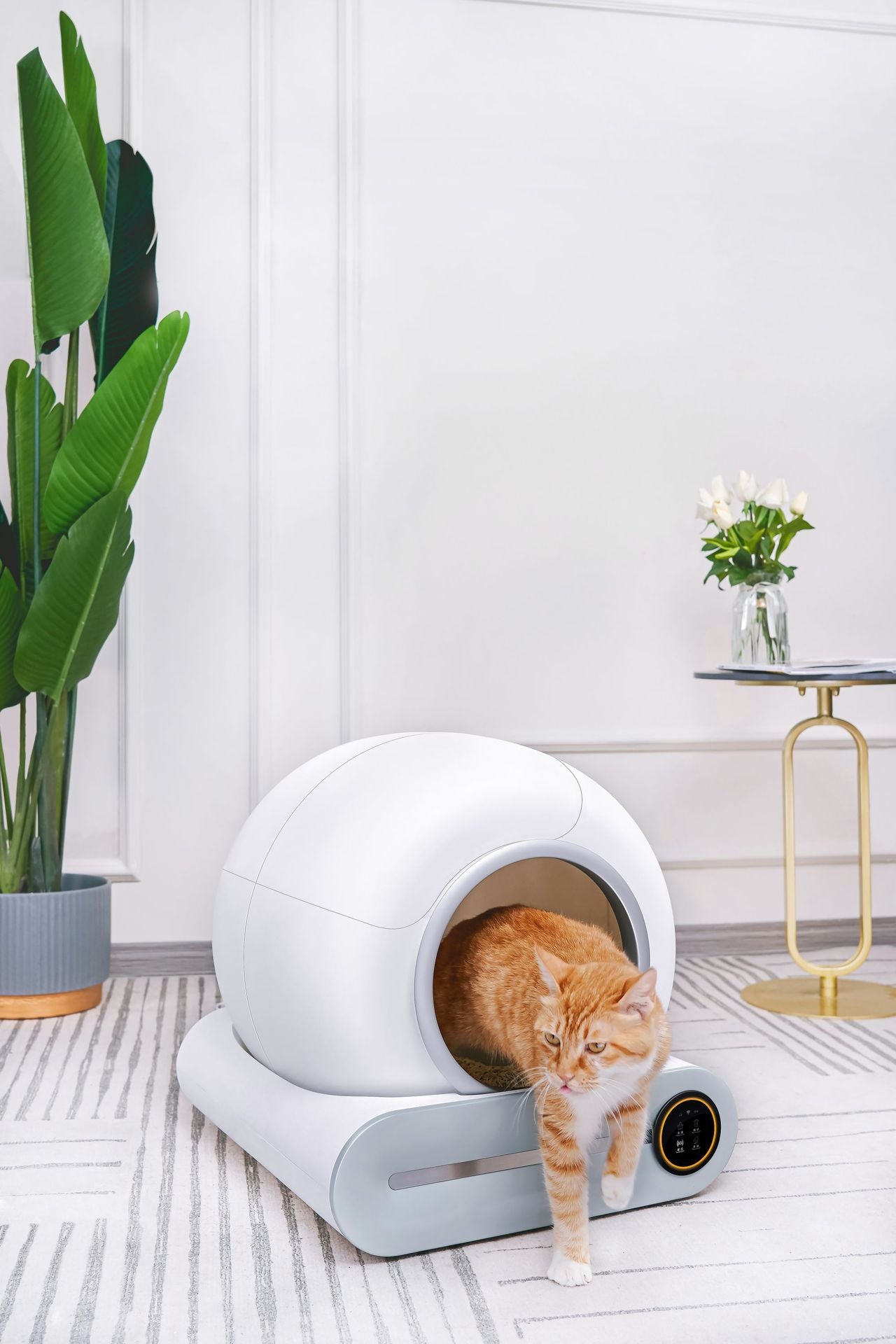 Nestora Self-Cleaning Cat Litter Box — 65L Enclosed Smart Automatic Litter Robot with App Control and Odor Lock